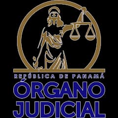 Órgano Judicial